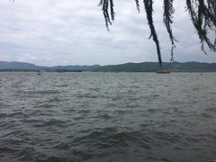 -柳浪闻莺公园