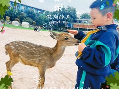 -北京鹿世界主题园