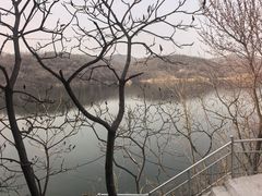 -临水阁农家乐饭店