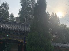 -兴教寺