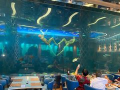 -瑞德姆美人鱼海底演艺主题餐厅(亚龙湾店)