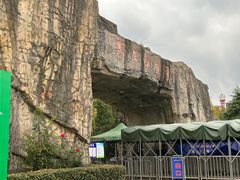 -合肥野生动物园