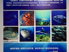 -大连自然博物馆