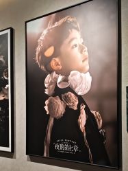 -大树儿童摄影