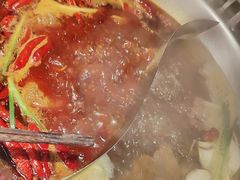 -辣伍鲜毛肚老火锅(元一店)
