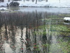-水磨沟公园