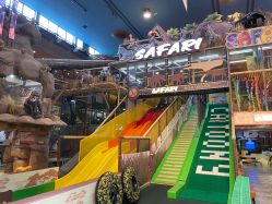 -卡通尼·Safari非洲探索乐园·生日会(金桥国际商业广场店)