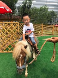 -萌宠亲子动物乐园(槐房万达店)