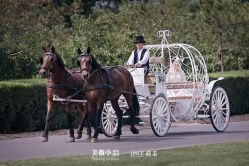 点击看大图 -美薇亭婚礼顾问