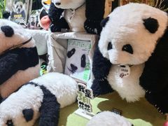 -轩客会(熊猫书店)