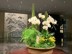 -南京金陵饭店