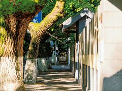 -颐和路民国时期公馆风貌区