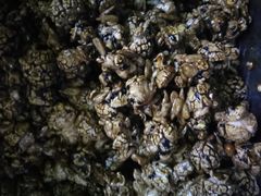 -正宗老杨特色爆米花(四棉店)