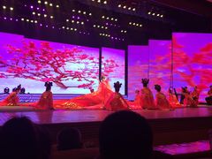 演出-南风大剧院莎梦二人转剧场