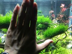 -梦幻海洋王国(吾悦广场张家港店)