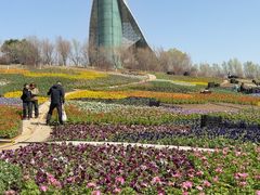 -沈阳植物园