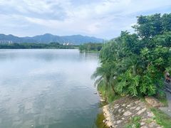 -飞来湖湿地公园
