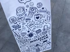 -MOLECULECOFFEE.MANDO 莫勒喝咖啡