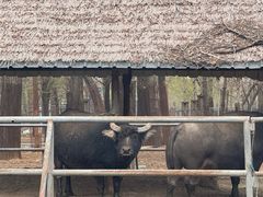 -秦皇岛野生动物园
