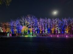 -枫花园汽车电影院(朝阳公园店)