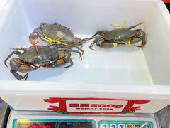 -胖哥俩肉蟹煲(杭州大厦中央广场店)
