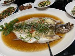 酒香太雕白水鱼-上海小南国(正大店)