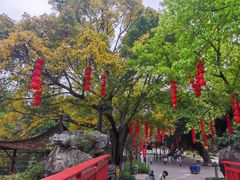 -荔湾湖公园