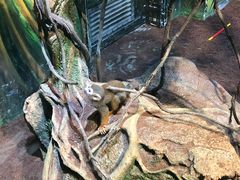 -华夏文旅西安度假区