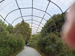 -东湖落雁景区