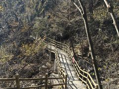 -罗田天堂寨风景区