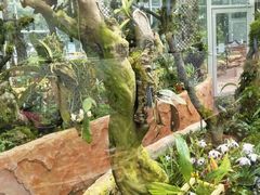 -国家植物园南园