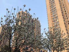 -宝业东城广场(东二环路店)