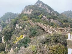 -大岭沟猕猴桃谷风景区