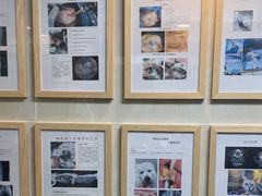 -半岛宠物医院24小时·内窥镜·牙科·碎石中心(府城大道店)
