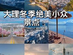 -大理.老字号渝记酸萝卜乌鱼(古城总店)
