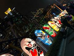 -锦江乐园舞狸花花游园会(夜场专享)