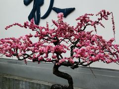 -成都杜甫草堂博物馆