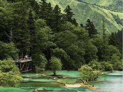 -黄龙山原始森林景区