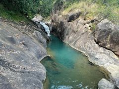 -广州白江湖森林公园