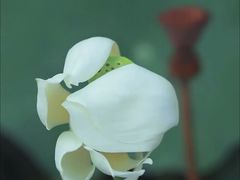 -朝阳公园