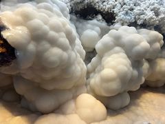 -贵州省地质博物馆