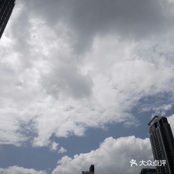 交通也很方便，基本在这里可以去香港的任意地方