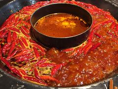 鸳鸯锅底-蜀大侠火锅(寰球文化地标·总府店)