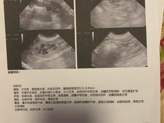 -纳吉亚猫专科动物诊疗中心(蒋宅口分院)