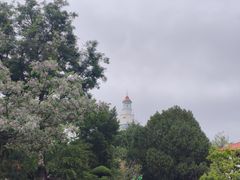 -烟台山景区