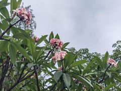 -blt精品超市(高德置地冬广场店)