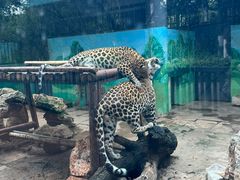 -昆明动物园