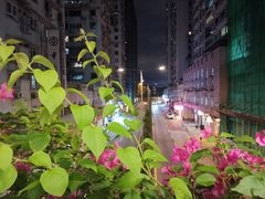 -华峰食馆(氹仔店)
