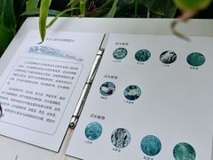 -成都市活水公园