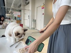 -怪兽屋·羊驼·猫咖·狗咖(俊华广场店)